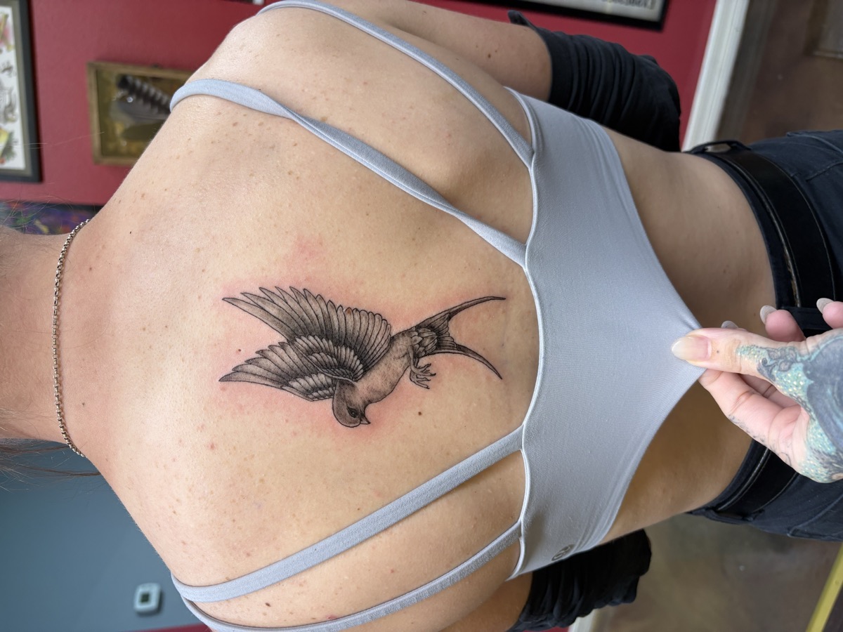 Realistic black and grey hummingbird in flight tattoo on upper back